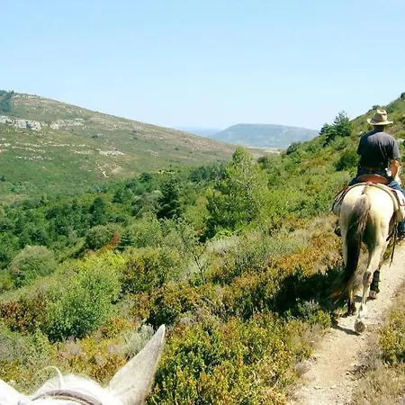 Au Pied De La Cite * قرقشونه