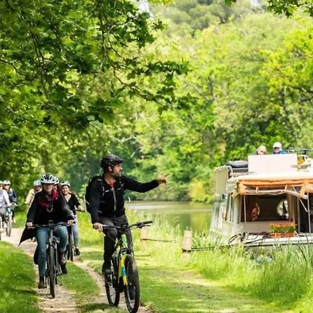 アパート Au Pied De La Cite カルカソンヌ